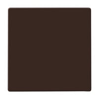 Busch-Jaeger Wippe braun, Retail