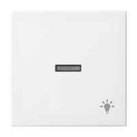 Busch-Jaeger Wippe mit Aufdruck Retail