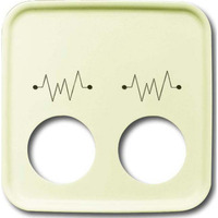 Busch-Jaeger Zentralscheibe 2548-021 G-212, Abdeckung weiß, Retail