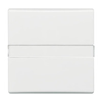 Busch-Jaeger Wippe Auswechsel mit Beschriftung 2106 N-34 Retail