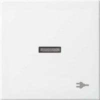 Busch-Jaeger Wippe mit Aufdruck mit kleiner transparenter Kalotte mit Symbol Stecker Retail