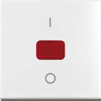 Busch-Jaeger Wippe mit Symbol Retail