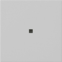 Gira Wippe einmalig grau, Retail