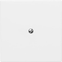 Busch-Jaeger Blindzentralscheibe mit Tragring, Blende Retail