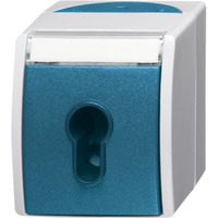 Busch-Jaeger Schlüsselschalter Aufputz mit Schlüssel, 1-polig, 10 Ampere, IP44, Typ 2733 SLW-53 Retail