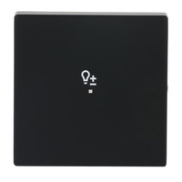 Busch-Jaeger Wippe future linear schwarz, Retail