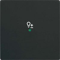 Busch-Jaeger Wippe future linear schwarz, Retail