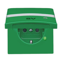 Busch-Jaeger Schutzkontakt Steckdosen Einsatz grün, Retail