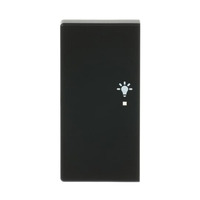 Busch-Jaeger Wippe matt future linear schwarz, Retail