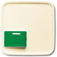 Busch-Jaeger Zentralscheibe, Abdeckung weiß, Retail