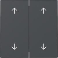 Gira Wippe zweifach mit Pfeilsymbolen anthrazit, Retail