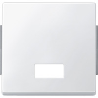 Merten Wippe mit Symbolfenster rechteckig für Kontrollschalter- und Tastereinsatz Typ 343819 weiß (glänzend), Retail