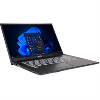 TERRA MOBILE 1716R i3-1315U W11P, Notebook dunkelgrau, Intel® Core™ i3-1315U, Intel® UHD Graphics, 8 GB DDR4, 500 GB (500 GB SSD), Windows 11 Pro