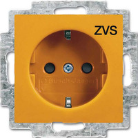 Busch-Jaeger Schutzkontakt Steckdosen Einsatz orange, Retail