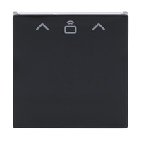 Busch-Jaeger Zentrale Scheibe Cardschalter Radiofrequenzidentifikation, Abdeckung anthrazit, Retail