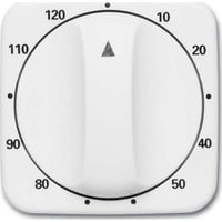 Busch-Jaeger Abdeckung 120 Minuten für Zeitschaltuhr, Rahmen weiß, Retail