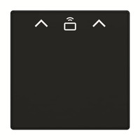 Busch-Jaeger Zentralscheibe Cardschalter Radiofrequenz-Identifikation 1792 Radiofrequenz-Identifikation-885, Abdeckung schwarz, Retail