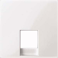 Merten Zentralplatte für RJ12-Telefonsteckdosen-Einsätze glänzend weiß, Retail