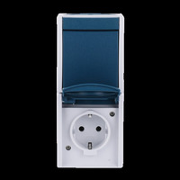 Busch-Jaeger Kombination Steckdose mit Schutzkontakt und Wippschalter Aus- und Wechselschaltung blaugrün, Retail