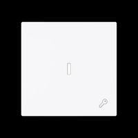 Busch-Jaeger Wippe mit Symbol Schlüssel mit transparenter Kalotte weiß, Retail