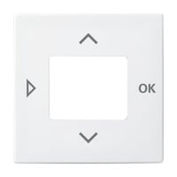 Busch-Jaeger Zentralscheibe für Komfort-Timer und Standard-Timer, Zentralplatte Retail