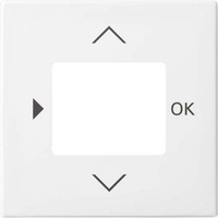 Busch-Jaeger Zentralscheibe für Komfort-Timer und Standard-Timer, Zentralplatte Retail