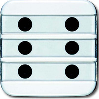 Busch-Jaeger Zentralscheibe mit Beschriftungsfeld, Zentralplatte Retail