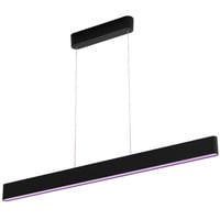Philips HUE White & Color Ambiance Ensis Pendelleuchte, LED-Leuchte schwarz