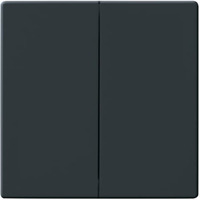 Busch-Jaeger Wippe zweiteilig Serienschalter und Taster anthrazit, Retail