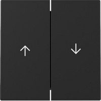 Gira Wippe zweifach mit Pfeilsymbol schwarz, Retail