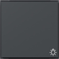 Gira Wippe mit Symbol Licht anthrazit, Retail