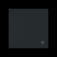 Busch-Jaeger Busch-J. Wippe geschlossen m. Symb. Licht 2520 LI-45M schwarz, Retail