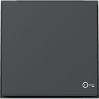 Gira Wippe Symbol Tür anthrazit, Retail