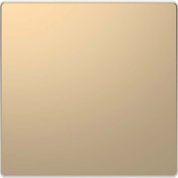 Merten Wippe champmet System Design einteilige Wippe für Wechselschalter MEG3300-6051 champagner, Retail