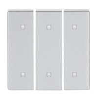 0 Wippe dreifach Elektroniktaster aluminium, Retail