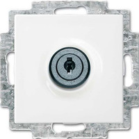 Busch-Jaeger Schutzkontakt Steckdosen Einsatz 20 EUKBSL-914 weiß, Retail