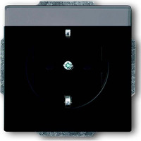 Busch-Jaeger Steckdosen Einsatz 20 EUN-885 schwarz, Retail