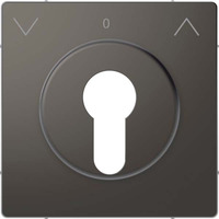 Merten Zentralplatte für genormte Profil-Halbzylinderschlösser mit 40 mm Länge lackiert anthrazit, Retail