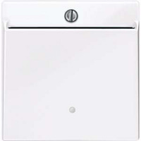 Merten Card-Schalter beleuchtbar, Taster-Einsatz für Card-Schalter, Typ 315625 weiß (glänzend), Retail