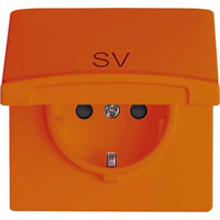 Busch-Jaeger Schutzkontakt-Steckdoseneinsatz 20 EUGKB-14-101 orange, Retail