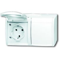 Busch-Jaeger Steckdose 20/2 Einbau-Wandgerät 54 weiß, Retail