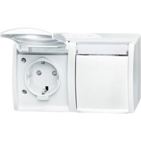 Busch-Jaeger Steckdose 20/2 Einbau-Wandgerät 54 weiß, Retail