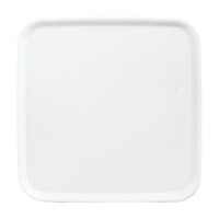 Busch-Jaeger Zentralscheibe aws 2548-214-50 A, Zentralplatte weiß, Retail