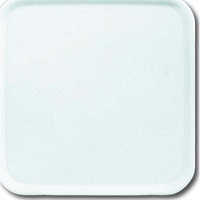 Busch-Jaeger Zentralscheibe aws 2548-214-50 A, Zentralplatte weiß, Retail