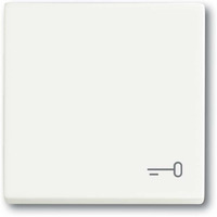 Busch-Jaeger Wippe mit Aufdruck weiß, Retail