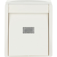 Busch-Jaeger Wipptaster mit Beleuchtung weiß, Retail