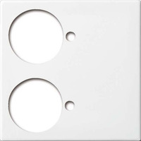 Busch-Jaeger Zentralscheibe, Rahmen weiß, Retail