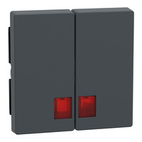 Merten Doppelwippe für Serien- und Doppeltaster-Einsatz, 2-fach, Thermoplast, matt anthrazit, Retail