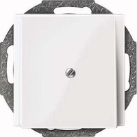 Merten Zentralplatte mit Traggestell und Zugentlastung für Leitungsauslass, glänzend, 1 Modul weiß (glänzend), Retail