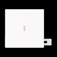 Busch-Jaeger Wippe mit kleiner transparenter Kalotte Kontroll weiß, Retail